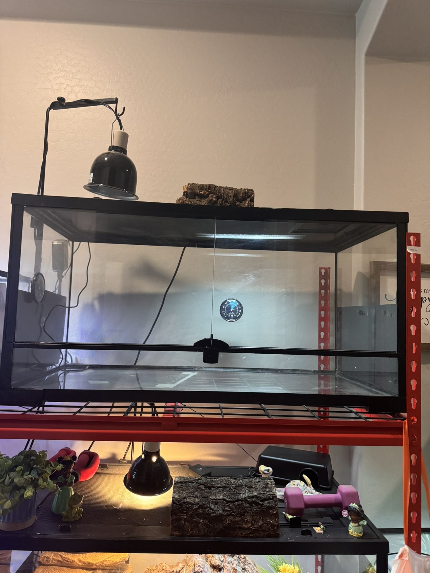 3 thrive 40 gallon from open enclosure (3 Avl)