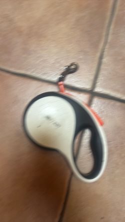 Dog leash size large
