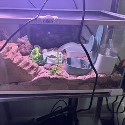 Hermit Crab Tank 10 Gallons