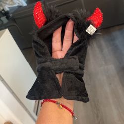 Costume For A Small Dog