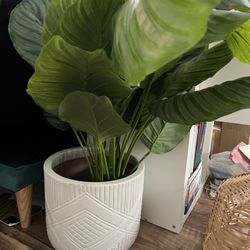Ceramic Planter Pot With Faux Monstera Fake Plant