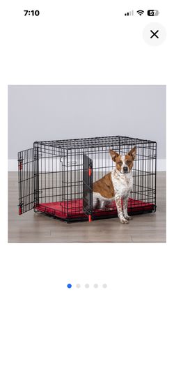 Kong Dog Crate