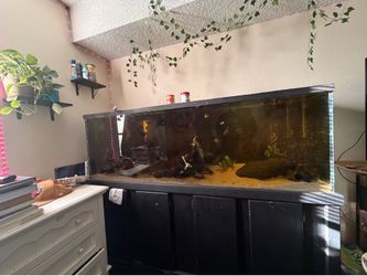 Aquariums
