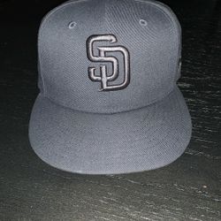 SD Fitted Hat 