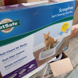 Cat Scoopfree New 🐈 😻 🐈⬛ $100