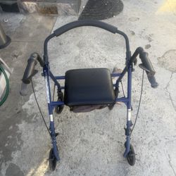Adult Walker Handicap Person 
