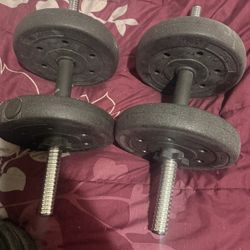 Dumbbells 55lb