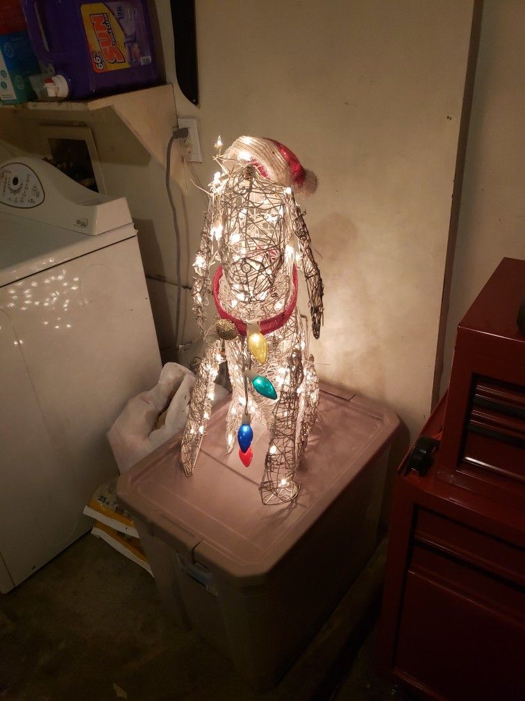 Christmas Lights Dog