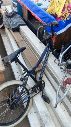 Swim 20 inch bike