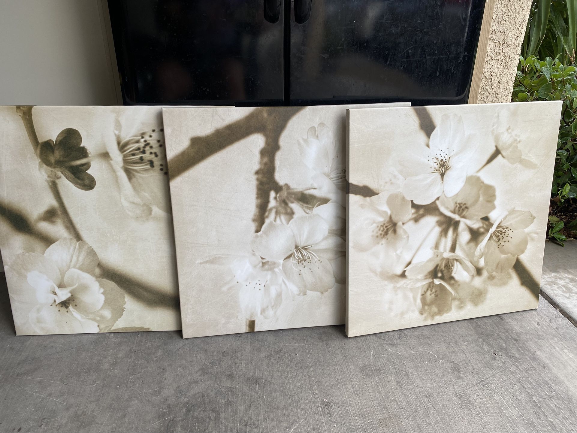 IKEA CANVAS WALL ART PJATTERYD FLORA MAIA 3 PANEL