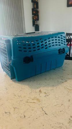 Great condition