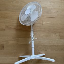 Pedestal Fan