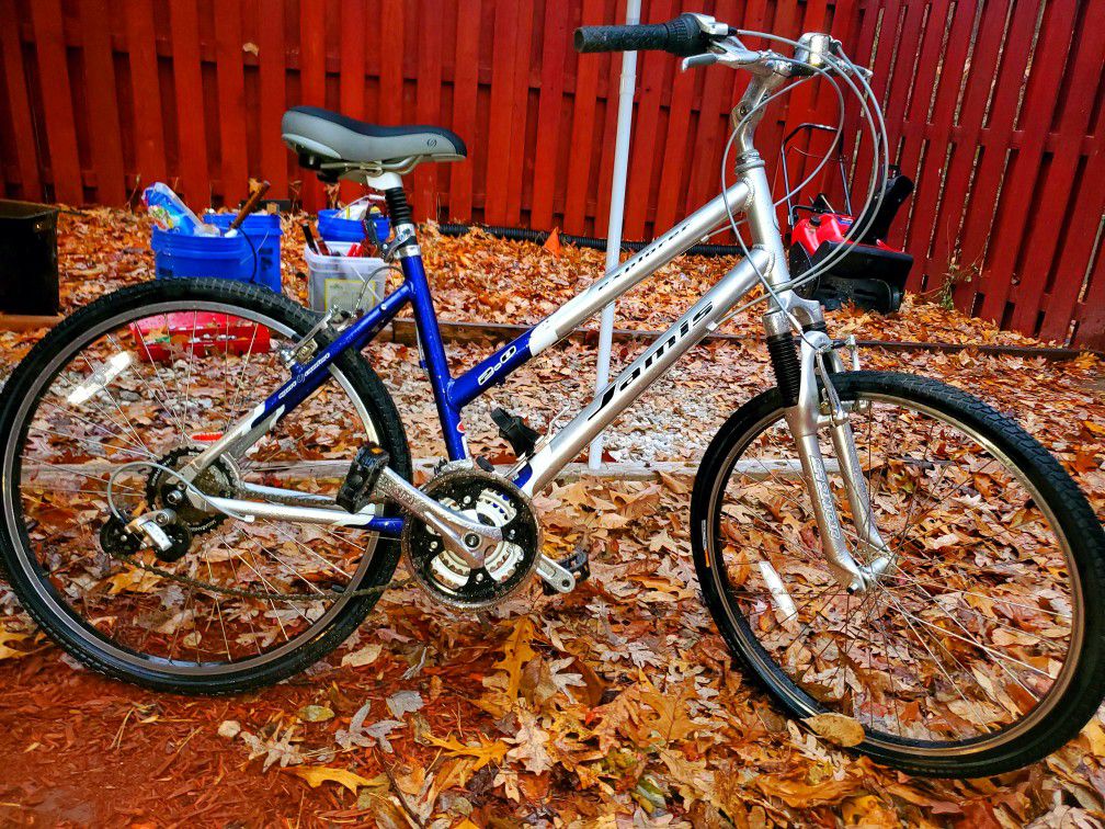Radiant Blue & Silver Professional Jamis Bicycle (Adult)