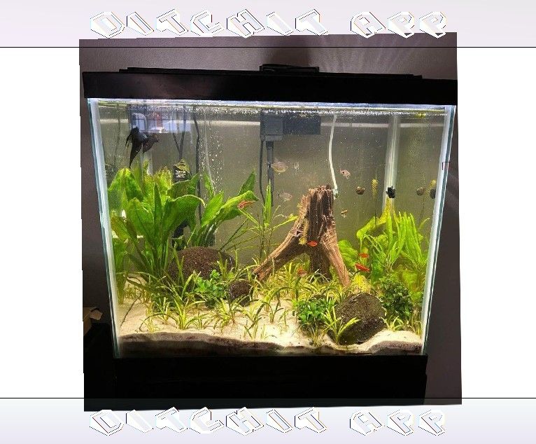 Complete Aquarium System - Jump into Water World Beauty by toward