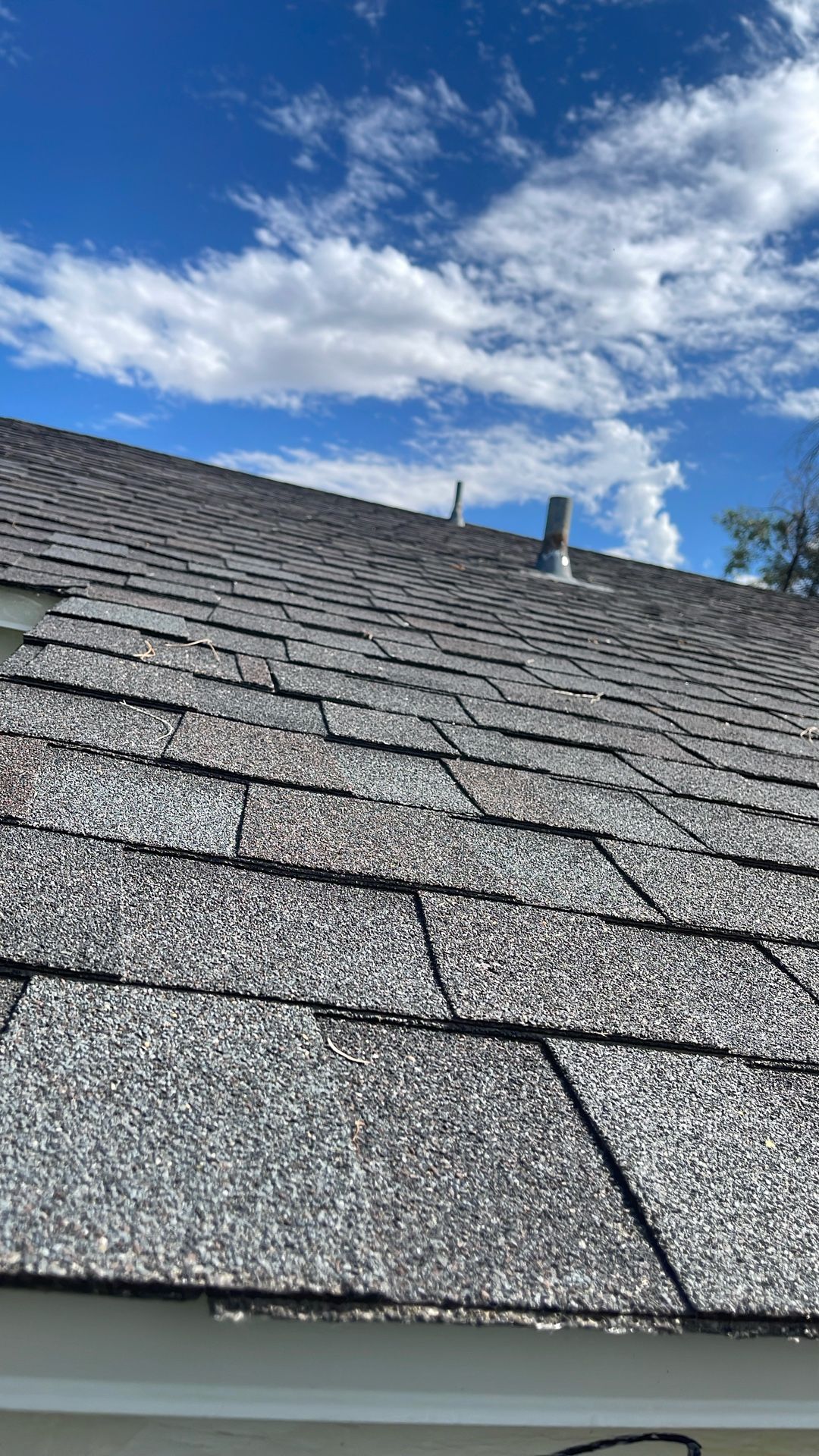 35 Paquetes De Chingo En $20 Cada Uno