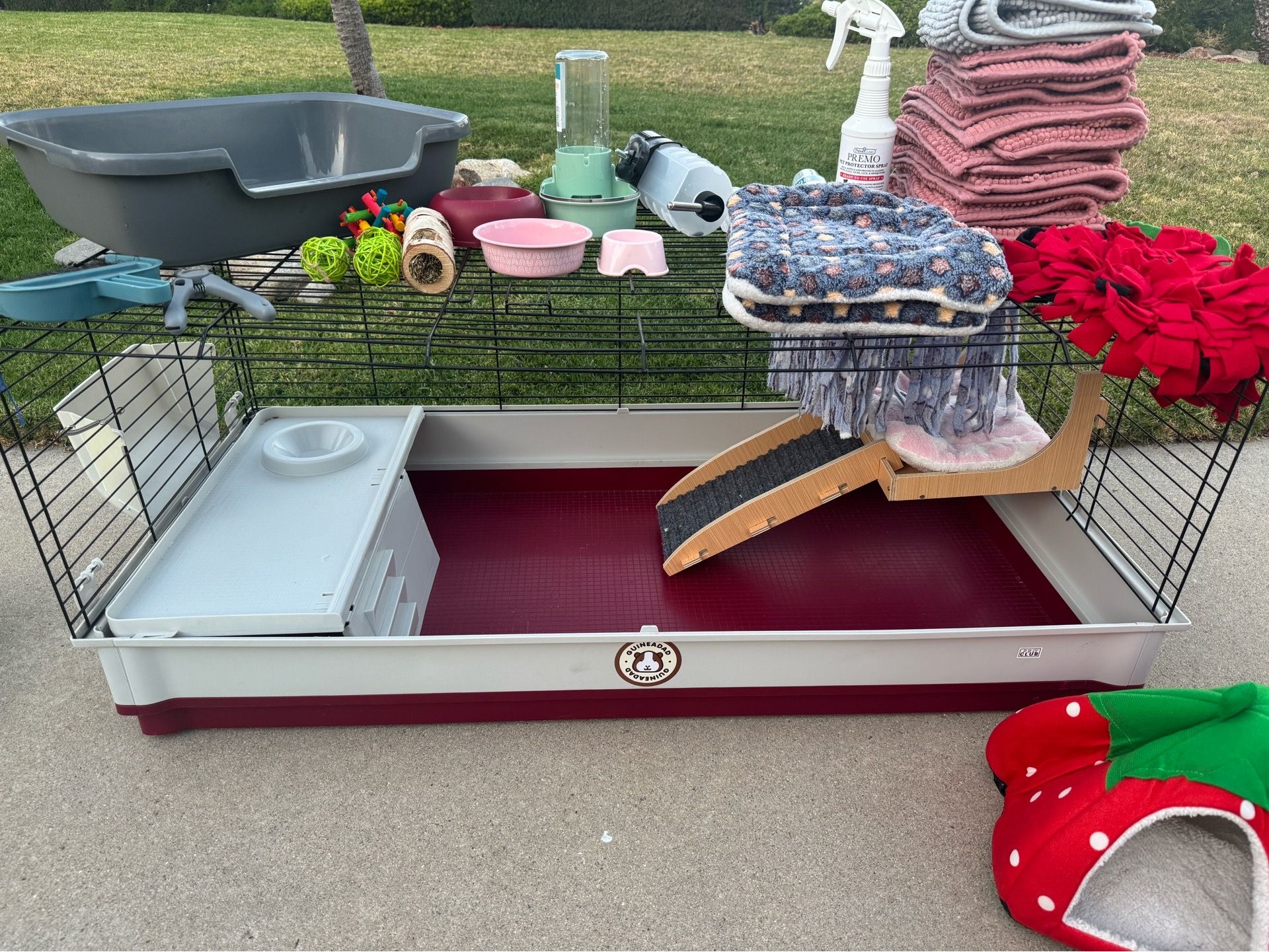 Guinea Pig Cage & Accessories