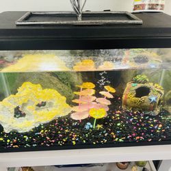 10 gallons Fish Tank (all decoration included) 20”x12”x10