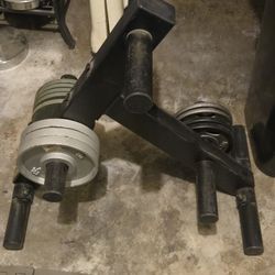 Body Soild Olympic Weights Tree 