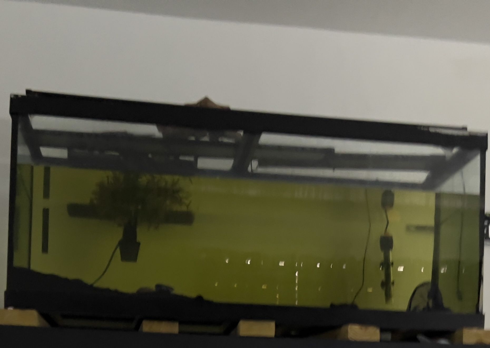 75 Gallon Fish Tank Aquarium 