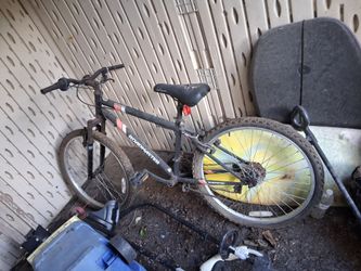 Roadmaster Mountain Bike