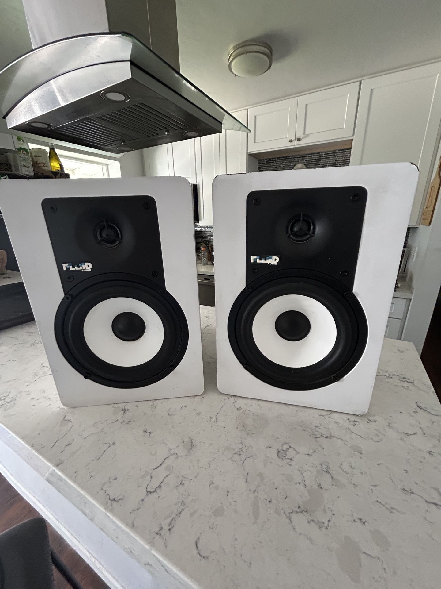 Fluid Audio Studio Speakers