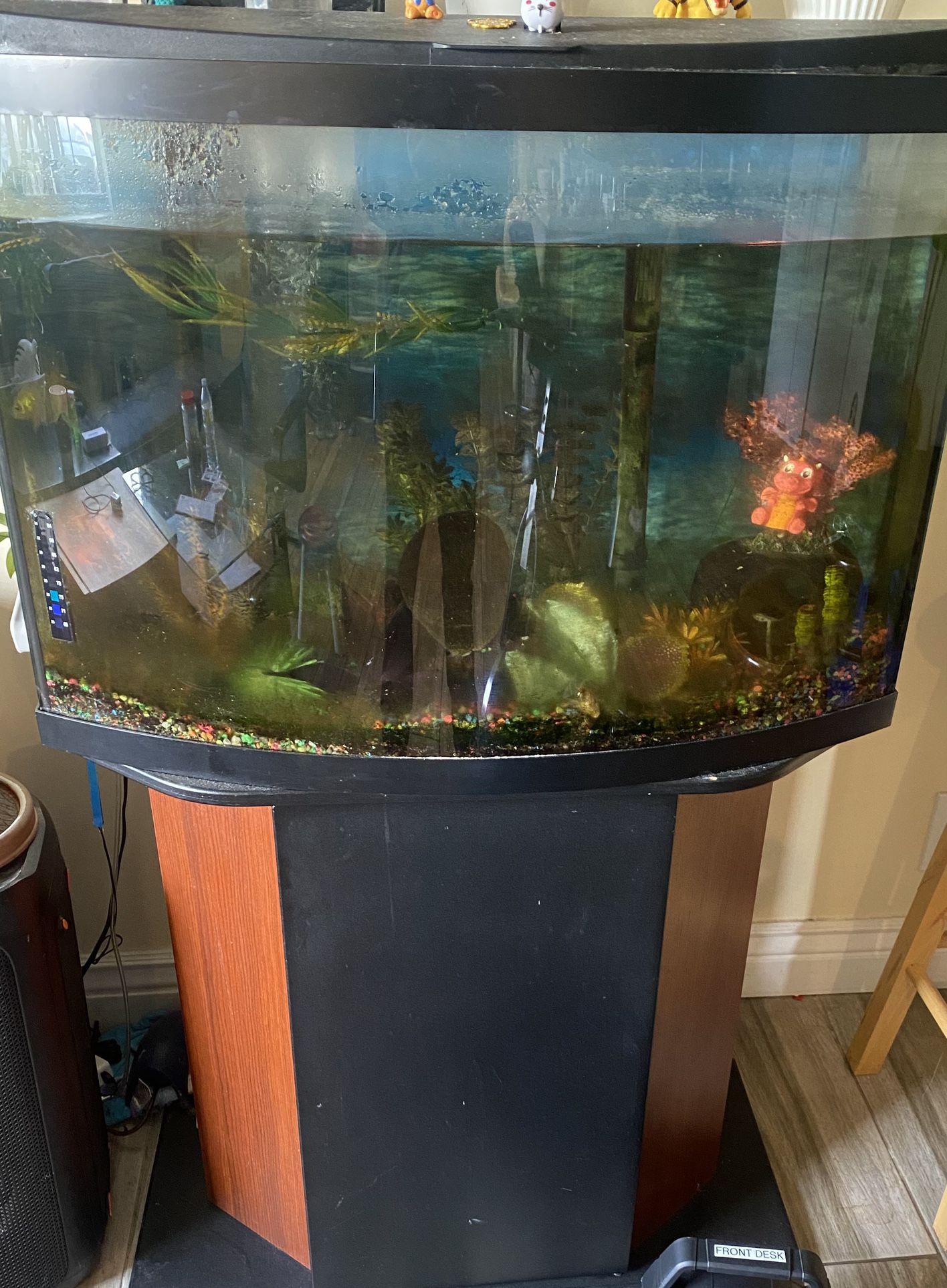 55 Gallons Fish Tank With Stand