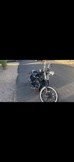 2020 Harley Davidson Sprotster XL883N