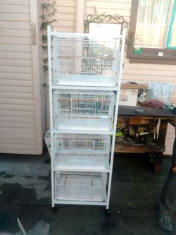 Bird cage