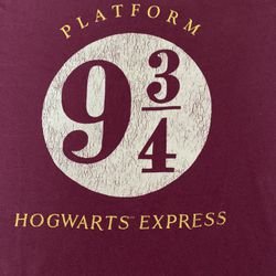 Harry Potter Hogwarts Express Adult Medium Tee Shirt