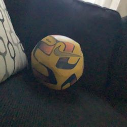 This Is Gonna Be 100 Dollars Because Of Nike