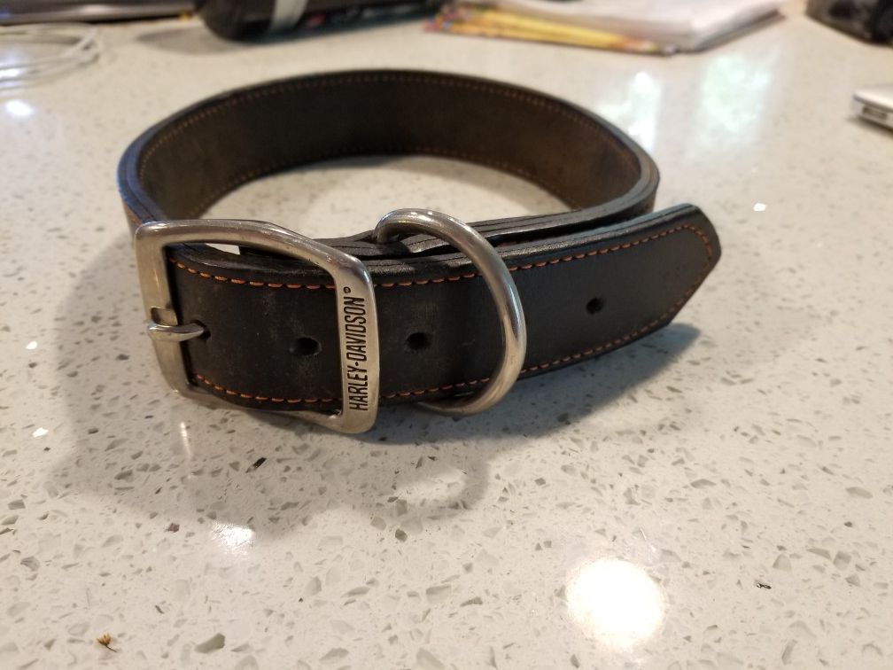 Harley davidson leather dog cheap collar