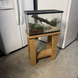 Frog Terrarium