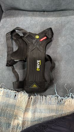EZY Dog Drive Car Safety Harness  Large Dog