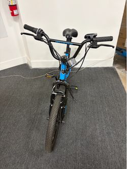 20” Electric