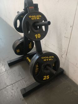 Golds Gym Weights