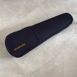 Violin Case Brand New Open Box