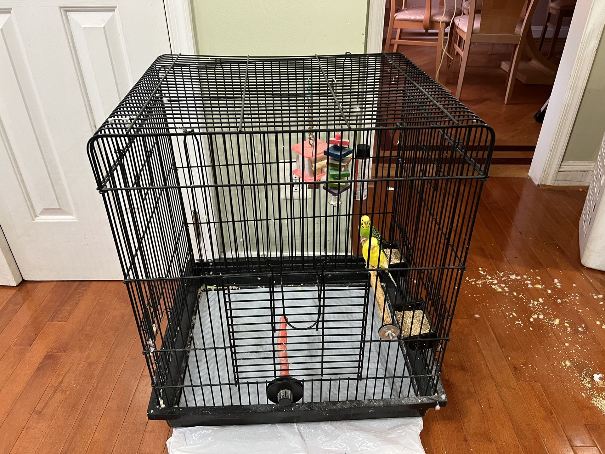 Bird Cage With One Green Parakeet 