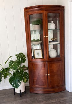 Curio cabinet bookshelf
