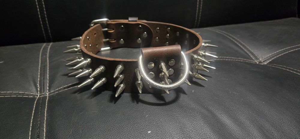 2 Inch Wide Dog Collar