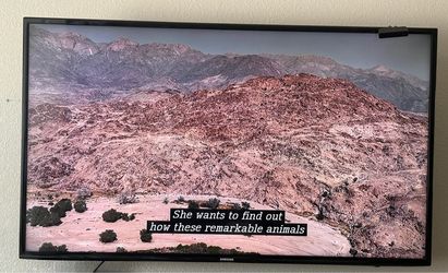 Samsung 55inch tv