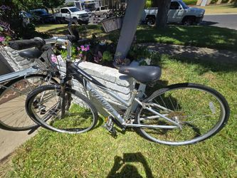 2 specialized crossroads bikes