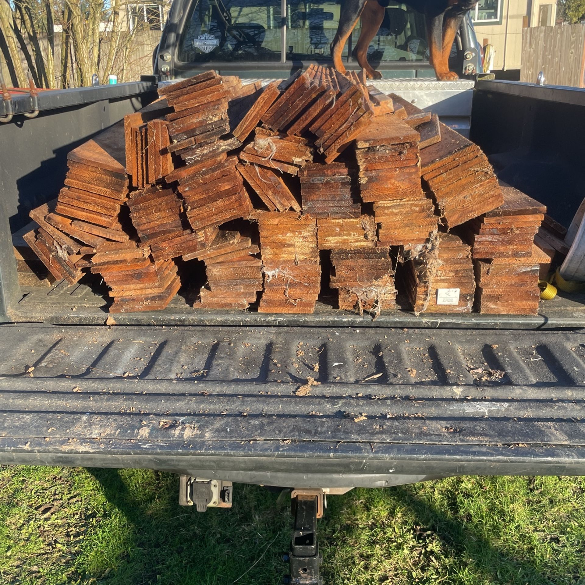Cedar fence boards