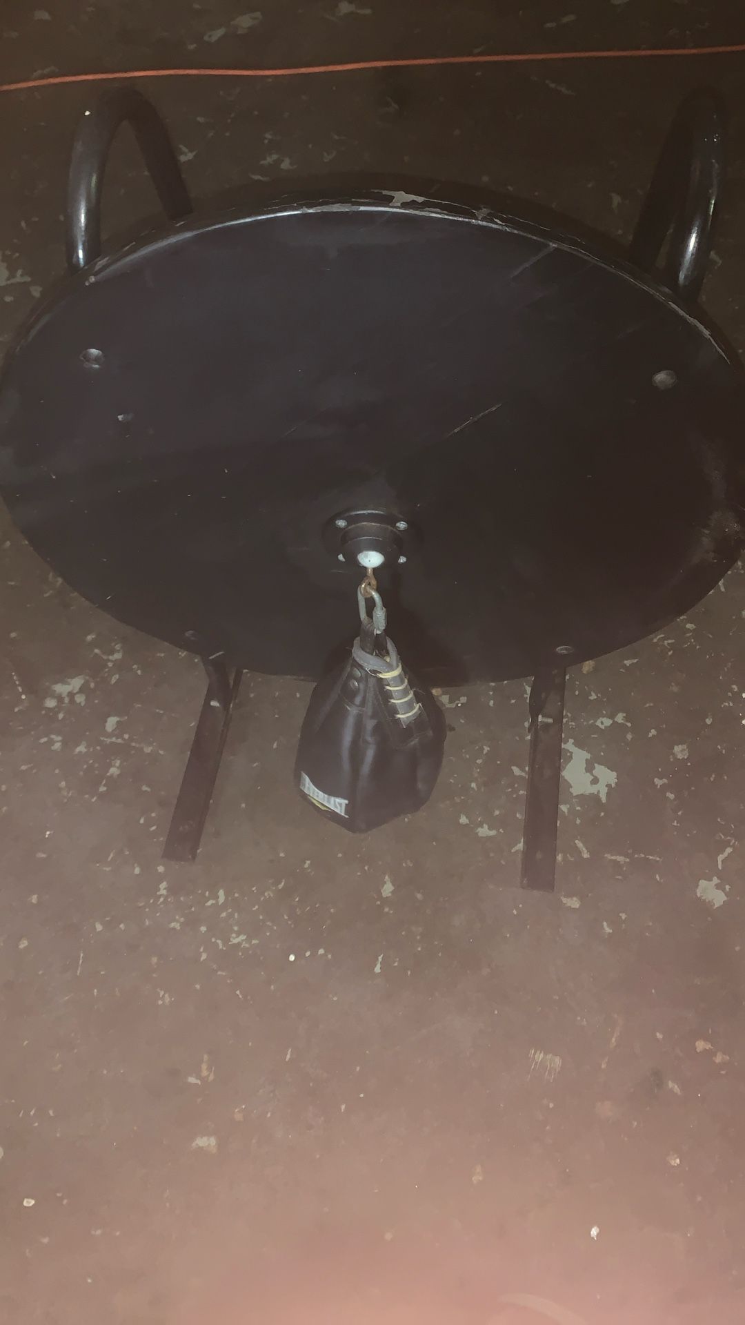 Everlast Speed Bag And Mount