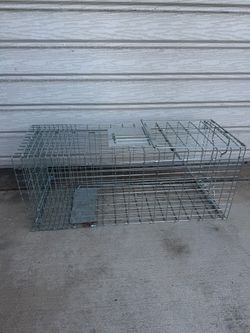 Animal Trap
