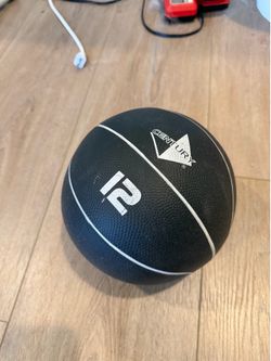 12lb weighted ball