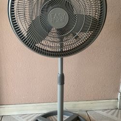 Fan. Stand 30$