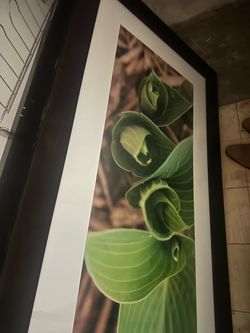 Stock pictures with frame 4 feet long