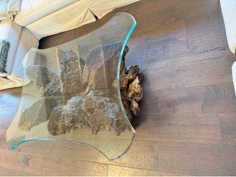 Roots base coffe table