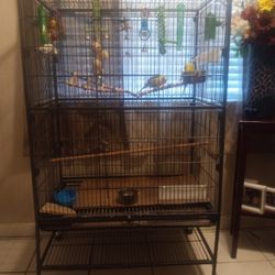 Bird Cage