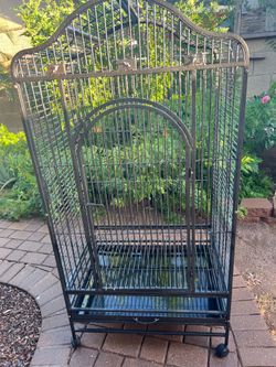 Large cage for parakeets and cockatiels